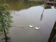 -神光山国家森林公园