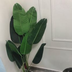 -BM SALON