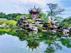 -顺峰山公园