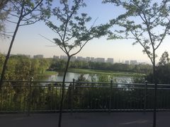-森林公园(尖草坪区)