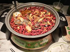 -淘蛙(广州星寰国际商业中心店)