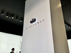 -BLACKSWAN黑天鹅(环球店)