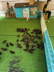 -萌宠亲子动物乐园(槐房万达店)