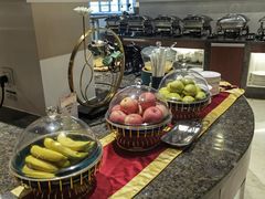 -虹桥机场国航贵宾室v8