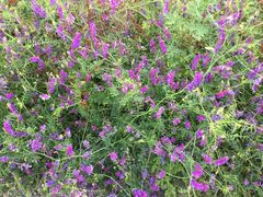 -泸沽湖国家级风景名胜区走婚桥