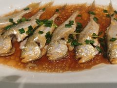 -舌尖上·霞浦滩涂海鲜·新闽菜(总店)