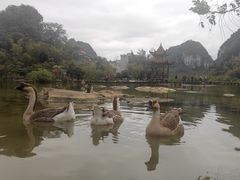 -靖西鹅泉风景区