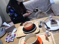 -藏猫猫咖啡主题馆(中央大道店)