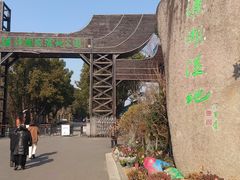 -溱湖国家湿地公园