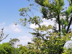 -昆山城市生态森林公园