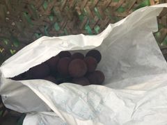 -马陆小张葡萄园农家乐