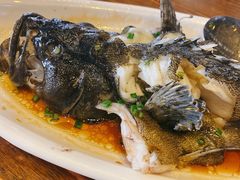 清蒸石斑鱼-南海渔家•海鲜•正宗海南菜(海棠湾店)