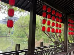 -长兴太湖图影湿地文化园