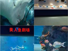 -福州罗源湾海洋世界旅游区