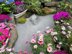 -火炉山森林公园