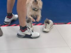 -BiM综合体能训练中心(漕河泾绿洲馆)