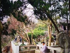 -灵岩山风景区