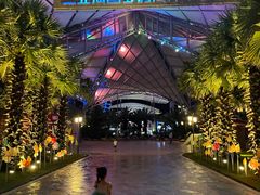 -三亚海昌梦幻海洋不夜城