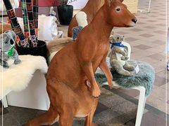 -上海波特曼丽思卡尔顿酒店