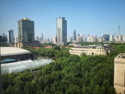 -海豚湾高端月子会所(黄浦店)