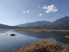 -腾冲北海湿地