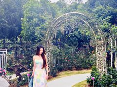 -人民公园(罗湖区)