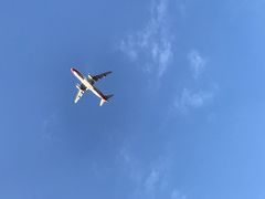 -空港花田景区
