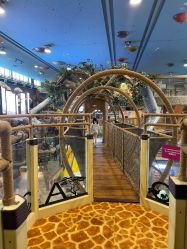 -卡通尼·Safari非洲探索乐园·生日会(金桥国际商业广场店)