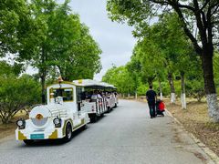 -上海海湾国家森林公园