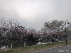 -玄武湖景区-情侣园游乐场
