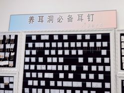 -AI艾耳·专业手工耳洞·穿孔美学馆