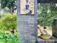 -深圳仙湖植物园