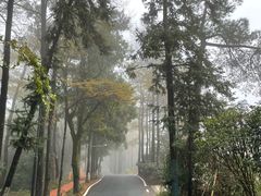 -莫干山风景区
