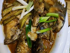 -小船渔村•大连菜•大连焖鱼(明泽街店)