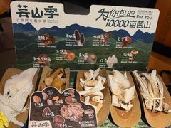 -芸山季·云南野生菌火锅(人民广场来福士店)