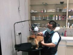 -宠颐生动物医院·小陆分院