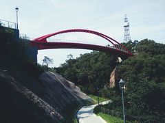 -金鸡山公园