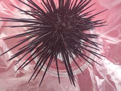 -宝岛眼镜(福州宝龙二店)