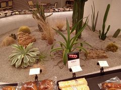 -OUR Bakery(SKP-S店)