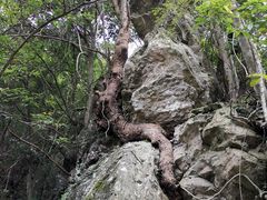 -磐安十八涡风景区