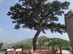 -燕塞湖鸟语林景区
