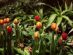 -园里火锅(仁和新城店)