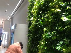 -好利来(乐堤港店)