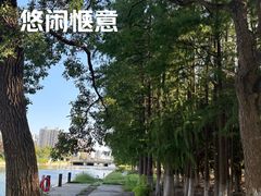 -白塘生态植物园