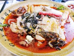 -芙蓉树下冒菜·麻辣烫(农院店)