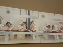 -千岛湖品鱼馆(钓鱼岛店)