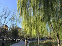 -西海子公园