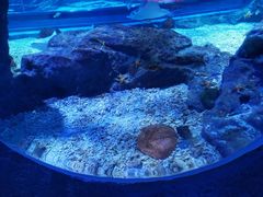 -海合安武汉极地海洋公园