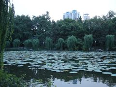 -包公祠