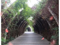 -天津东丽湖风景区